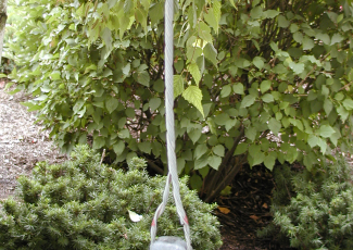 TREE-GRIP™ Dead-end